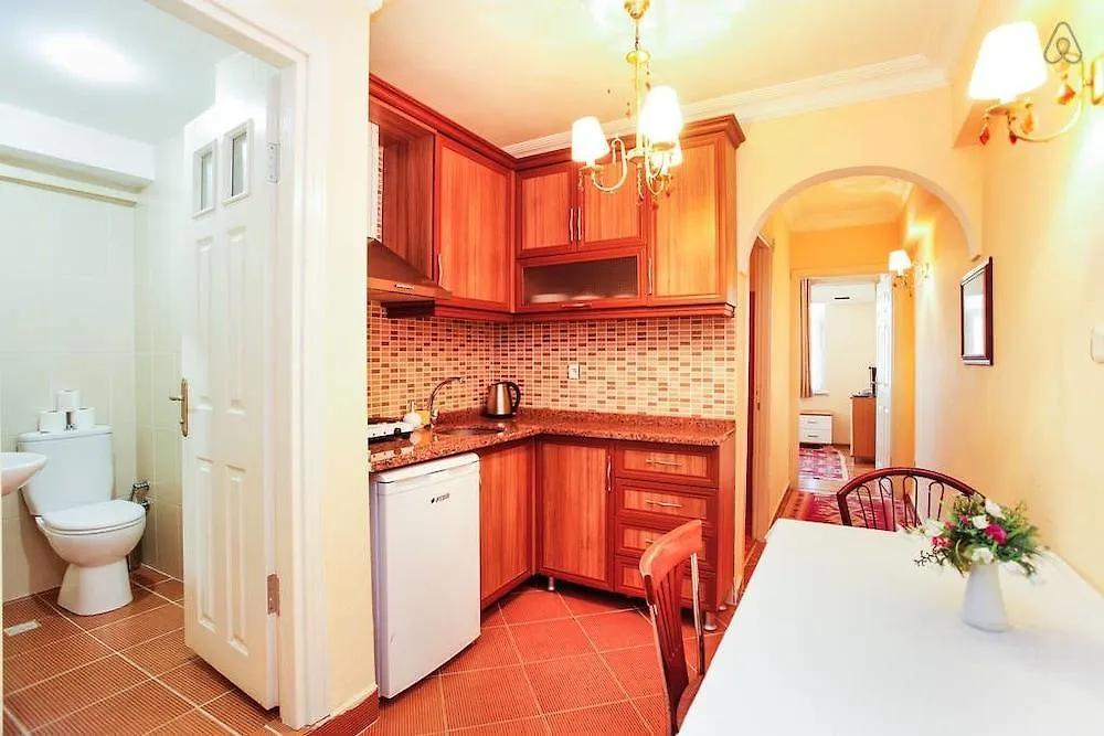 Serdivan Apartments 伊斯坦布尔